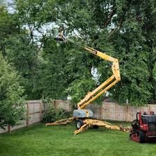 Best Hazardous Tree Removal  in Clay, KY